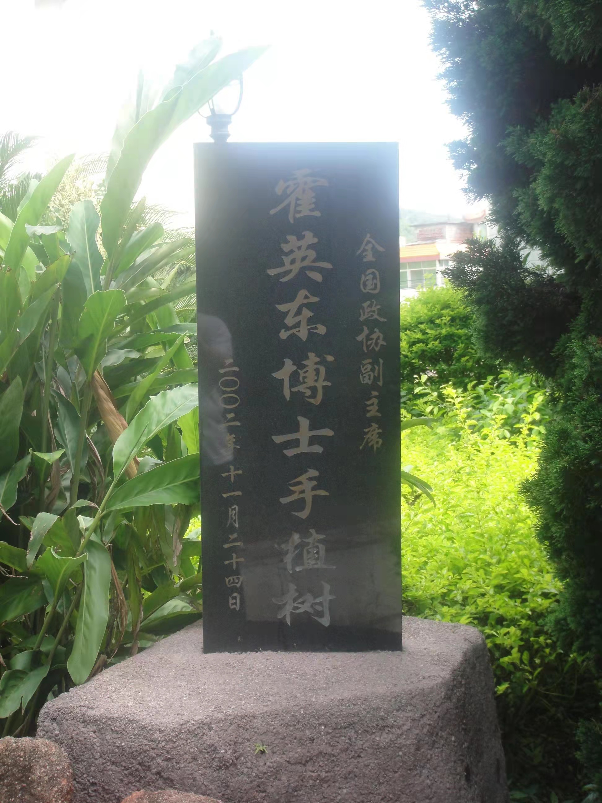 永远忘不了的姓氏,永远忘不了的亲人