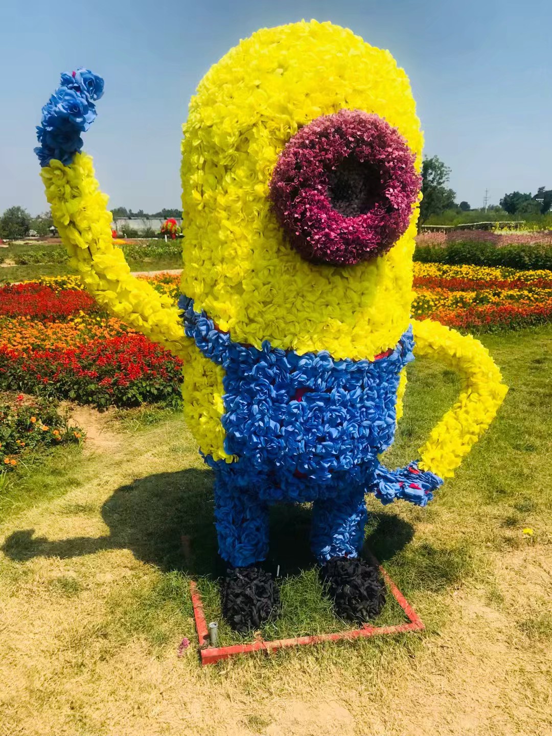 同心花海风景区,春光无限好旅游观光