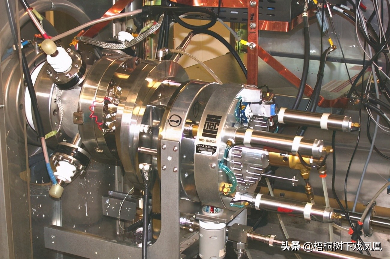 从盗猎者手里买动物放生,从盗墓者手中抢出的国宝玉器