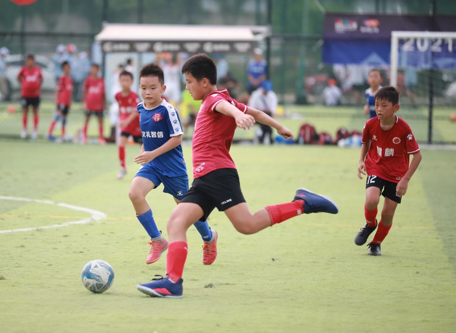 南山区青少年足球锦标赛落幕，240余足球小将展现“射门”风采