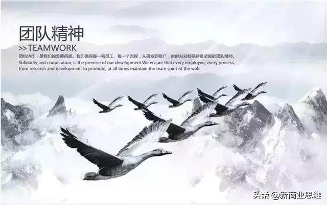 能不能做公司的法定代表人,做公司领导真不容易