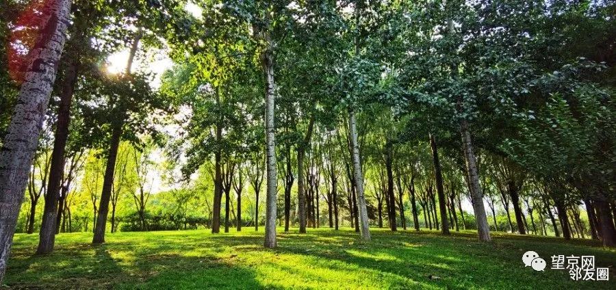 这样的你爱了吗精彩片段,这样的你爱了吗片段