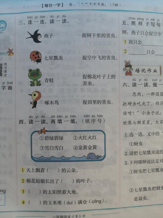 一年级下册练习册19棉花姑娘讲解,一年级棉花姑娘课文