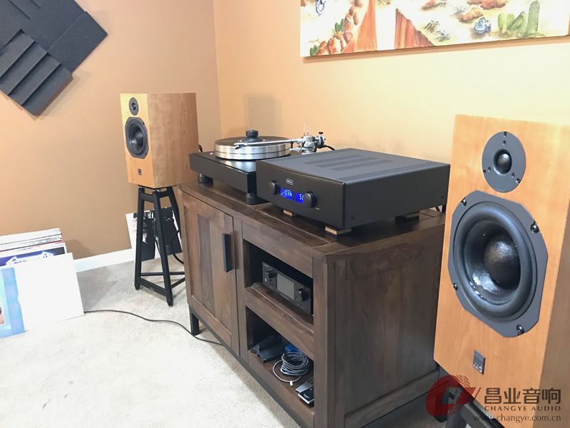 丹拿怎么才能玩好,丹拿玩被动还是主动好