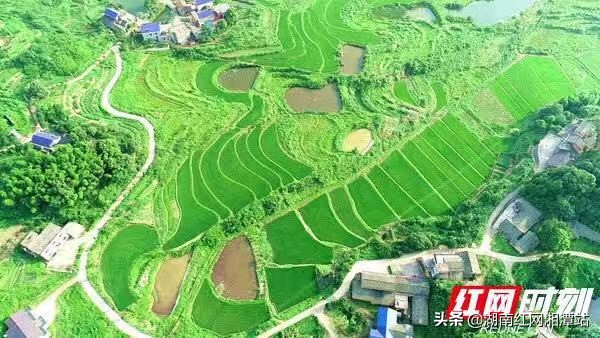 壮丽70年奋进新时代江西,湘潭农业农村乡村振兴