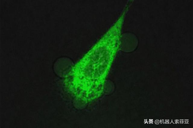 抗癌纳米机器人最新进展临床试验,全球首创抗癌纳米机器人