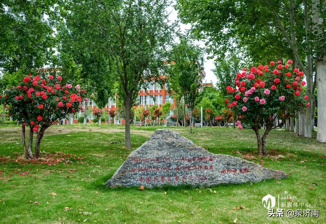 楂樻牎椋庨噰绯诲垪,楂樻牎椋庨噰灞曠ず瑙嗛