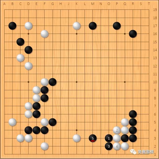 藤泽秀行对坂田荣男,藤泽秀行坂田荣男对局杀棋