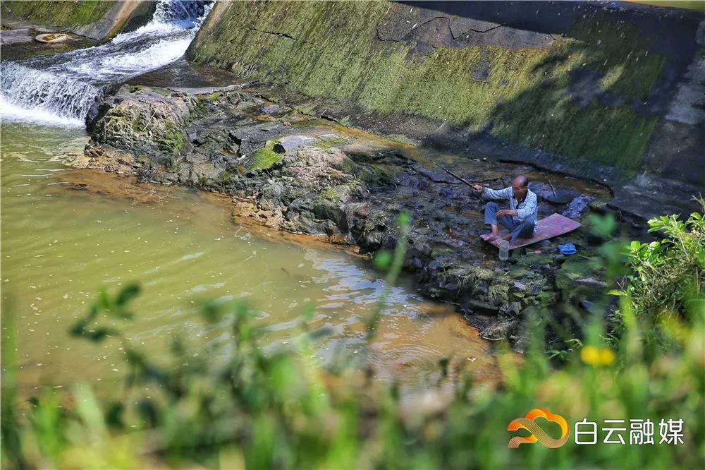 安徽太和发展前景,未来广阔的发展前景