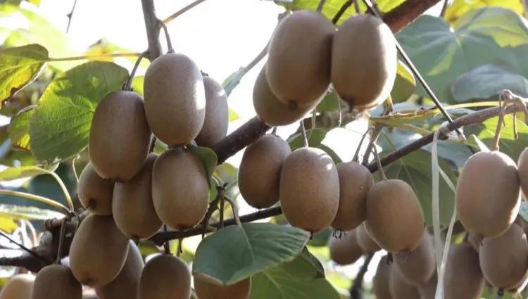 许昌八里沟跟团一日游,许昌五一八里沟一日游