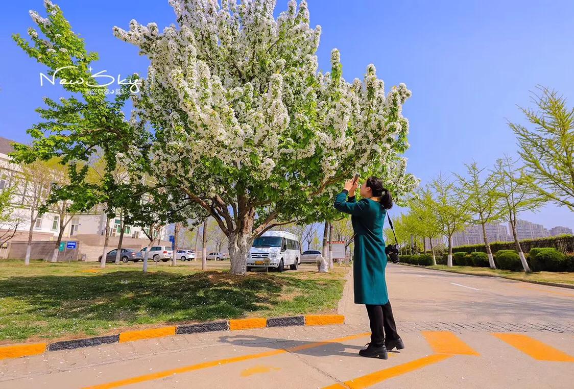 烟台张裕酒庄参观推荐,烟台打卡网红景点月亮湾