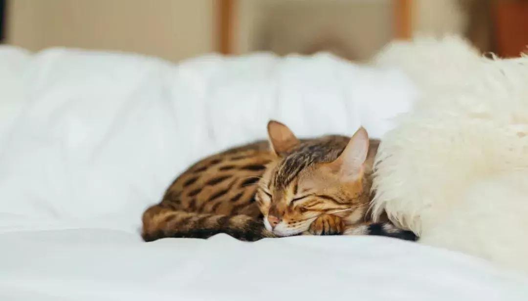 夏天热了头痛是什么原因,夏天一吹风就头痛怎么回事