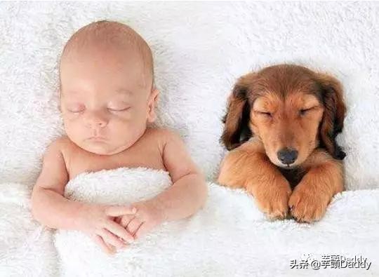 芋教QA：5周宝宝那些事儿