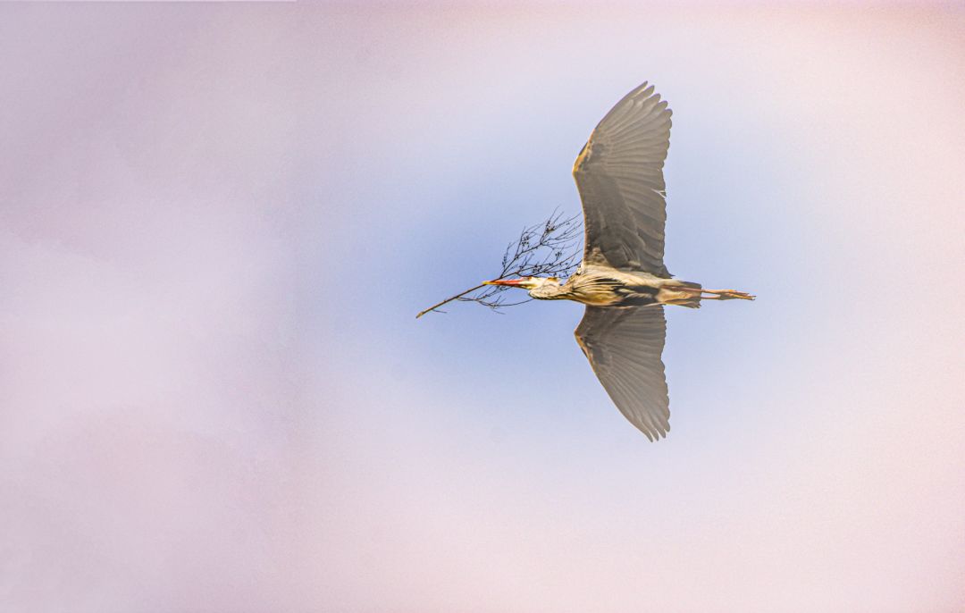 香港第14届全国摄影艺术展,第29届全国摄影艺术展览获奖名单