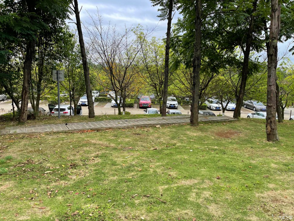 成都凤凰山公园可以爬山吗,成都凤凰山公园有什么好玩的