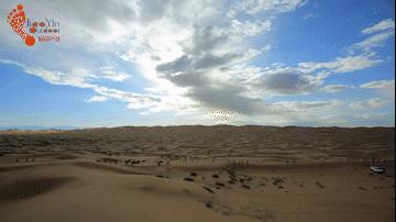 沙漠亲子营价格 (沙漠亲子陪伴营优惠政策)