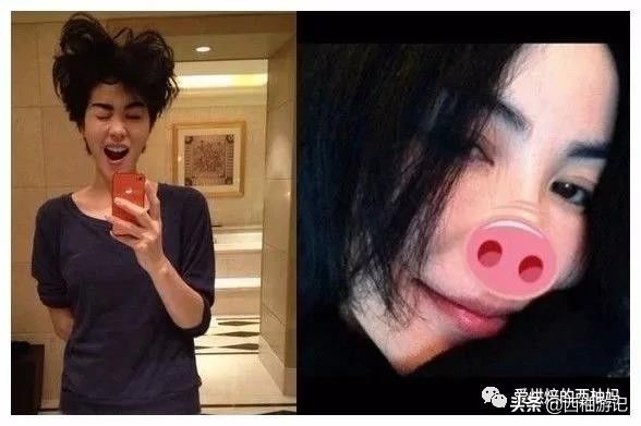 王菲窦靖童三姐妹,那英王菲三姐妹