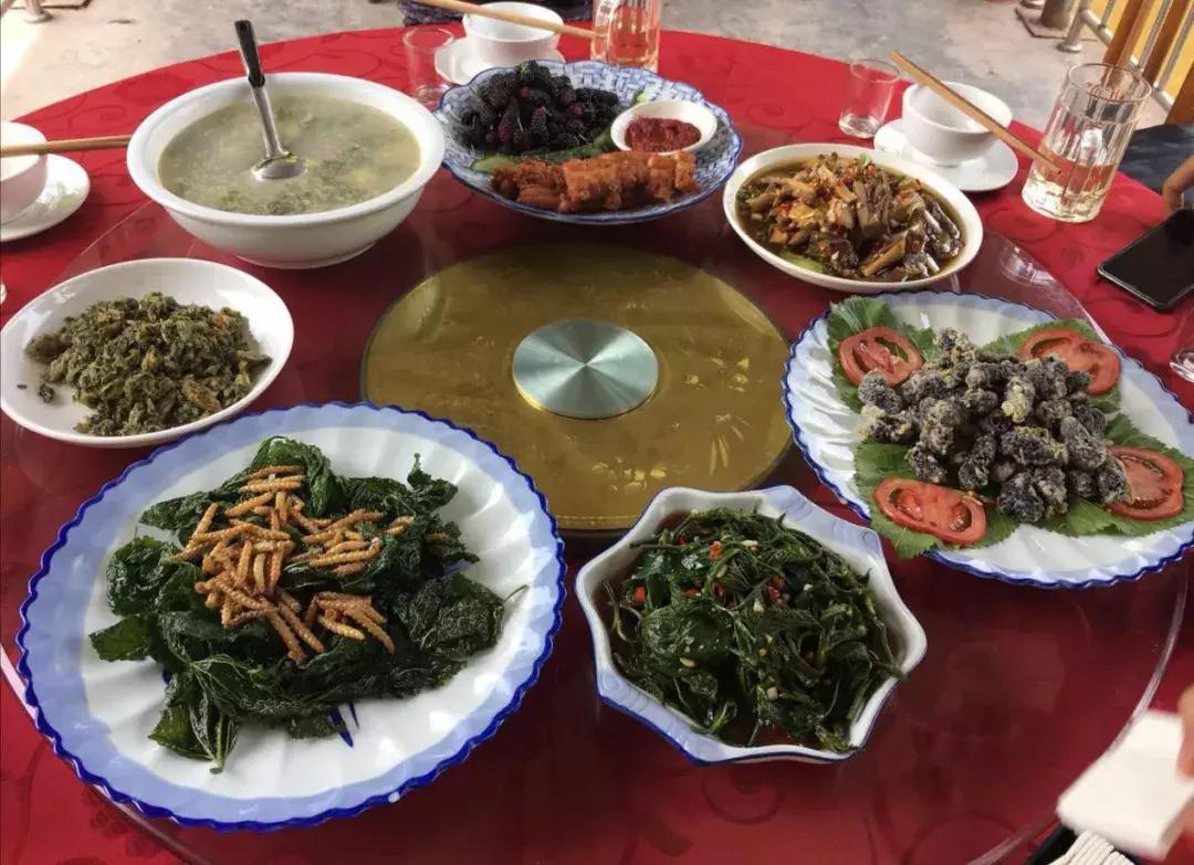 成都出发不到1h！3000多亩樱桃桑泡er随你摘，吃不饱算我输！