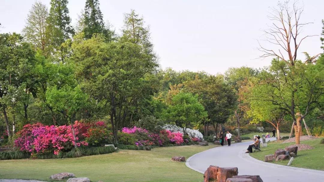 松北新区足球场,世界最大足球主题公园