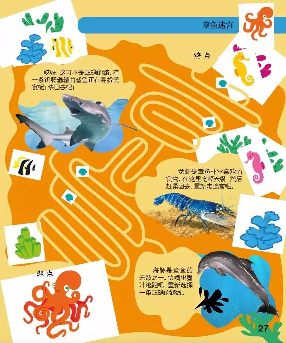 儿童dk哪些书籍值得买,dk儿童书籍推荐