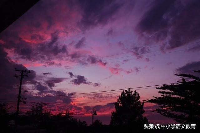 （每日一课）八年级下册语文寒假预习：20课基础字词汇总