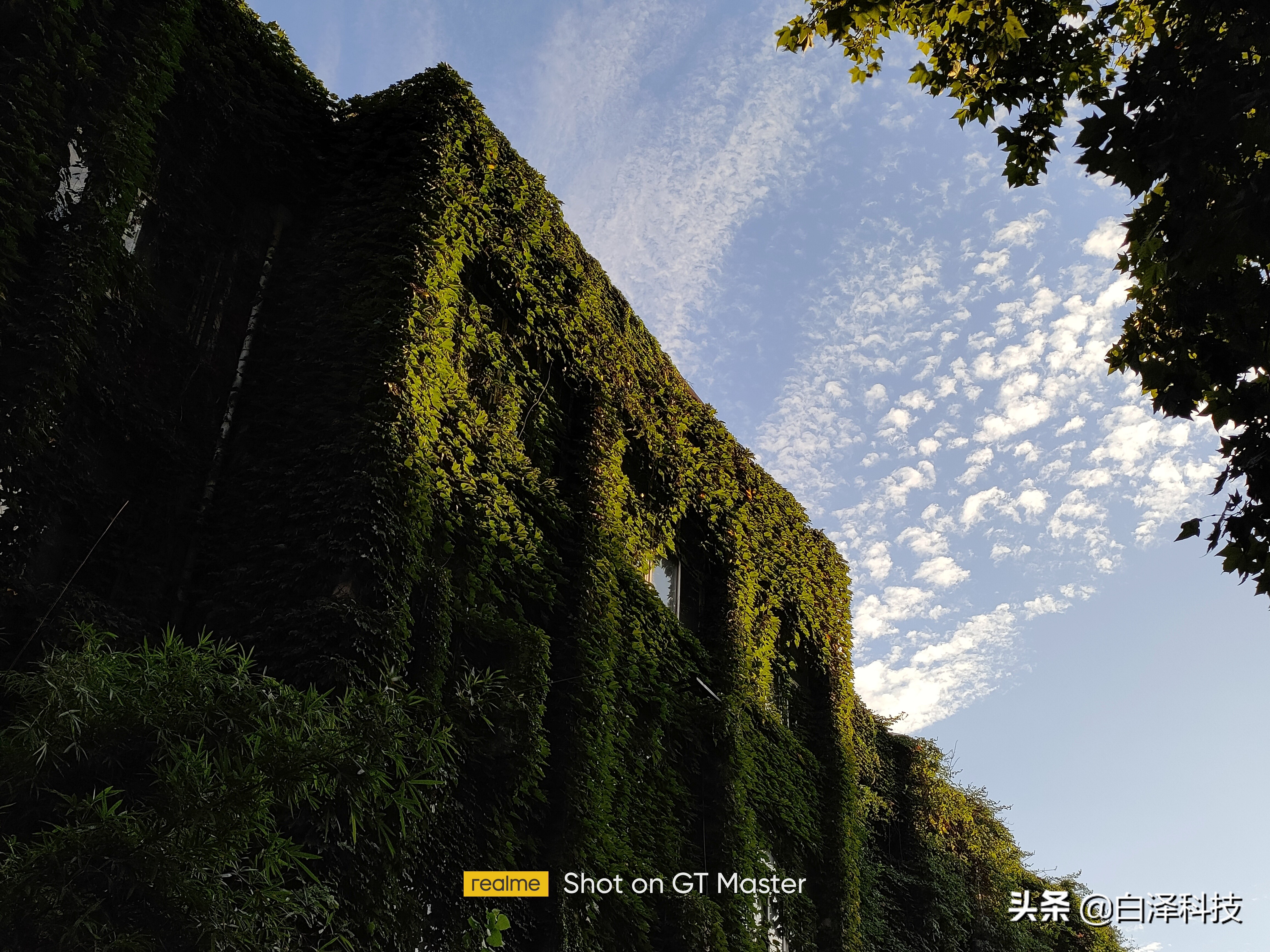 realmegt大师探索版值得入手吗,realmegt大师探索版夜景拍照评测