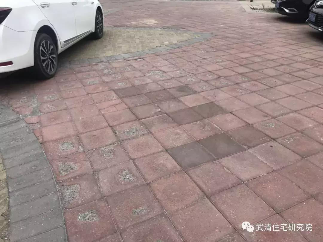 天津市大妈买菜,小区买菜大妈