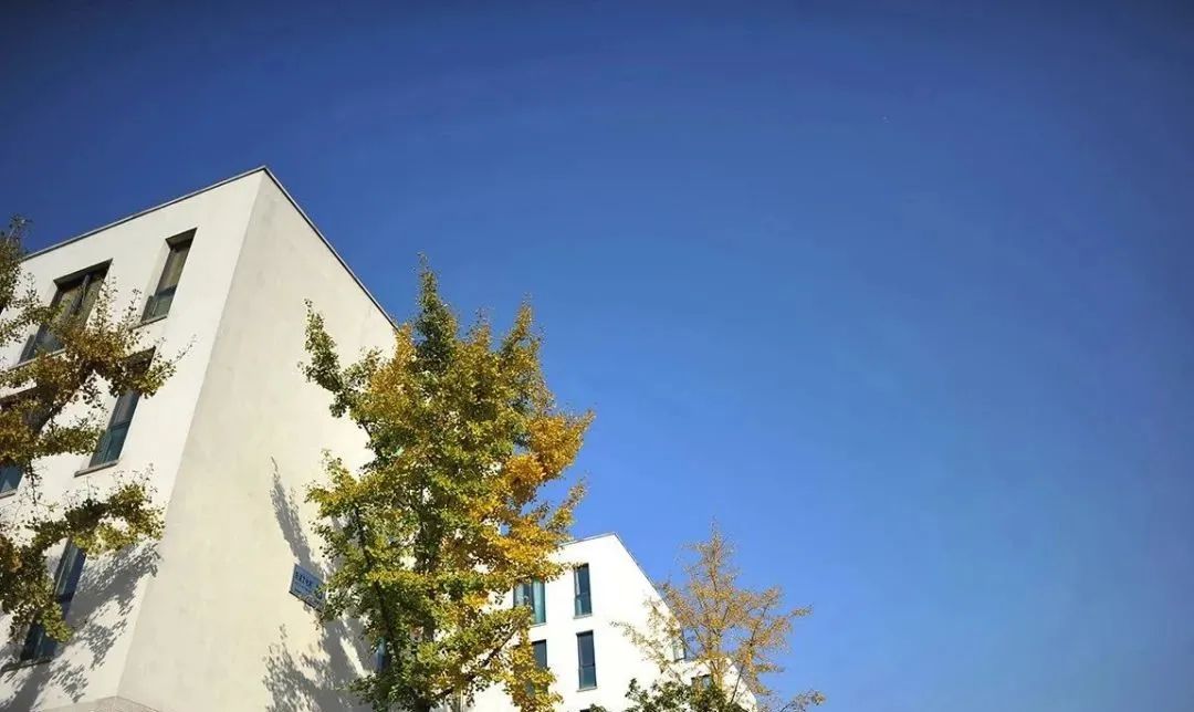 中国最美历史文化小镇,良渚文化村简介