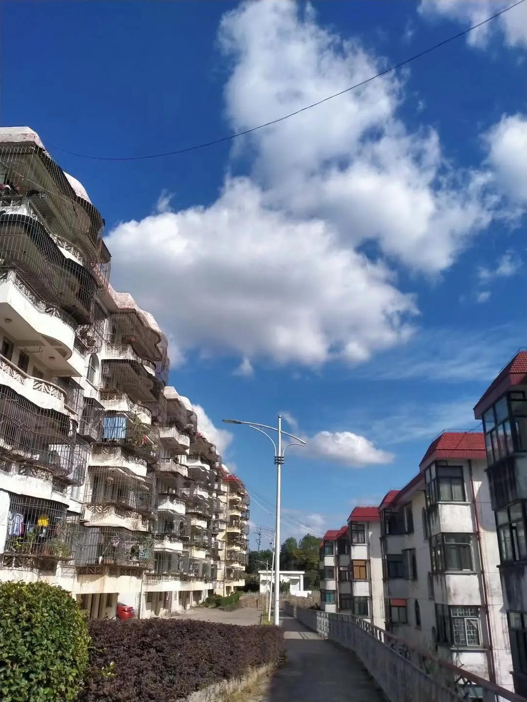 福建师大福清分校,师大福清分校