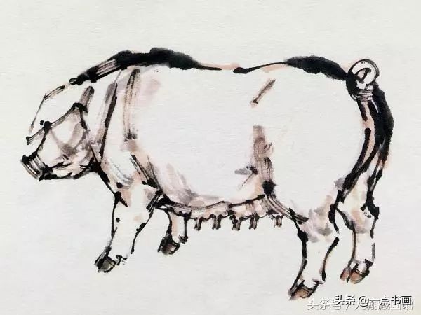 简单猪画画教学,国画写意猪图大全