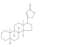 背它！考前必看82个易错考点