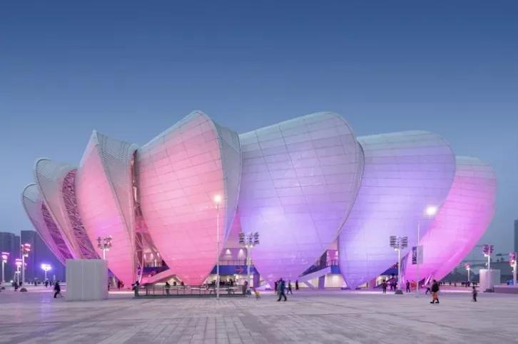 恒大莲花足球场,杭州奥体中心两朵大莲花