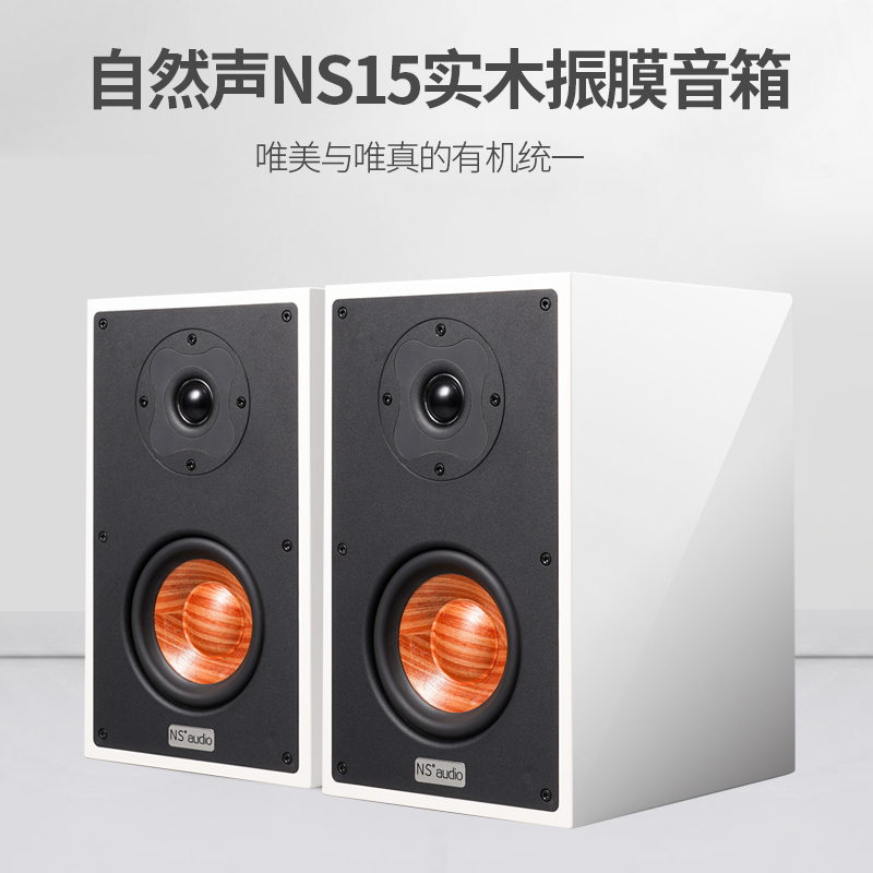 自然声ns15怎么样,自然声音箱ns15