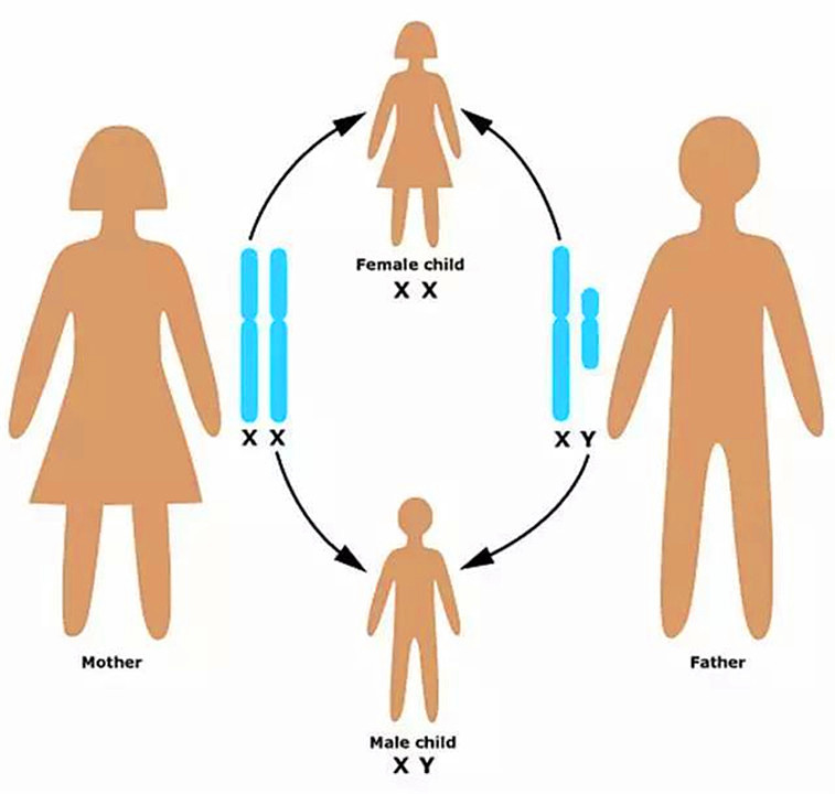 色盲眼中的世界是不是真正的颜色,色盲眼里的世界是什么样子的