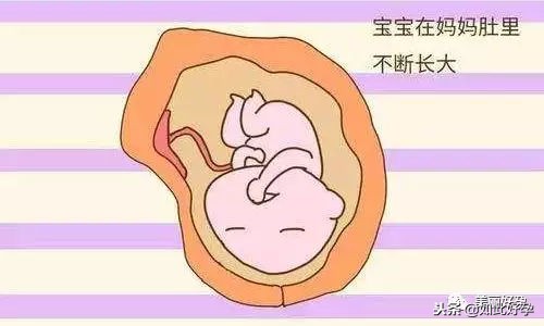 胎动肚子里有动静,胎动教你读懂胎宝宝的语言