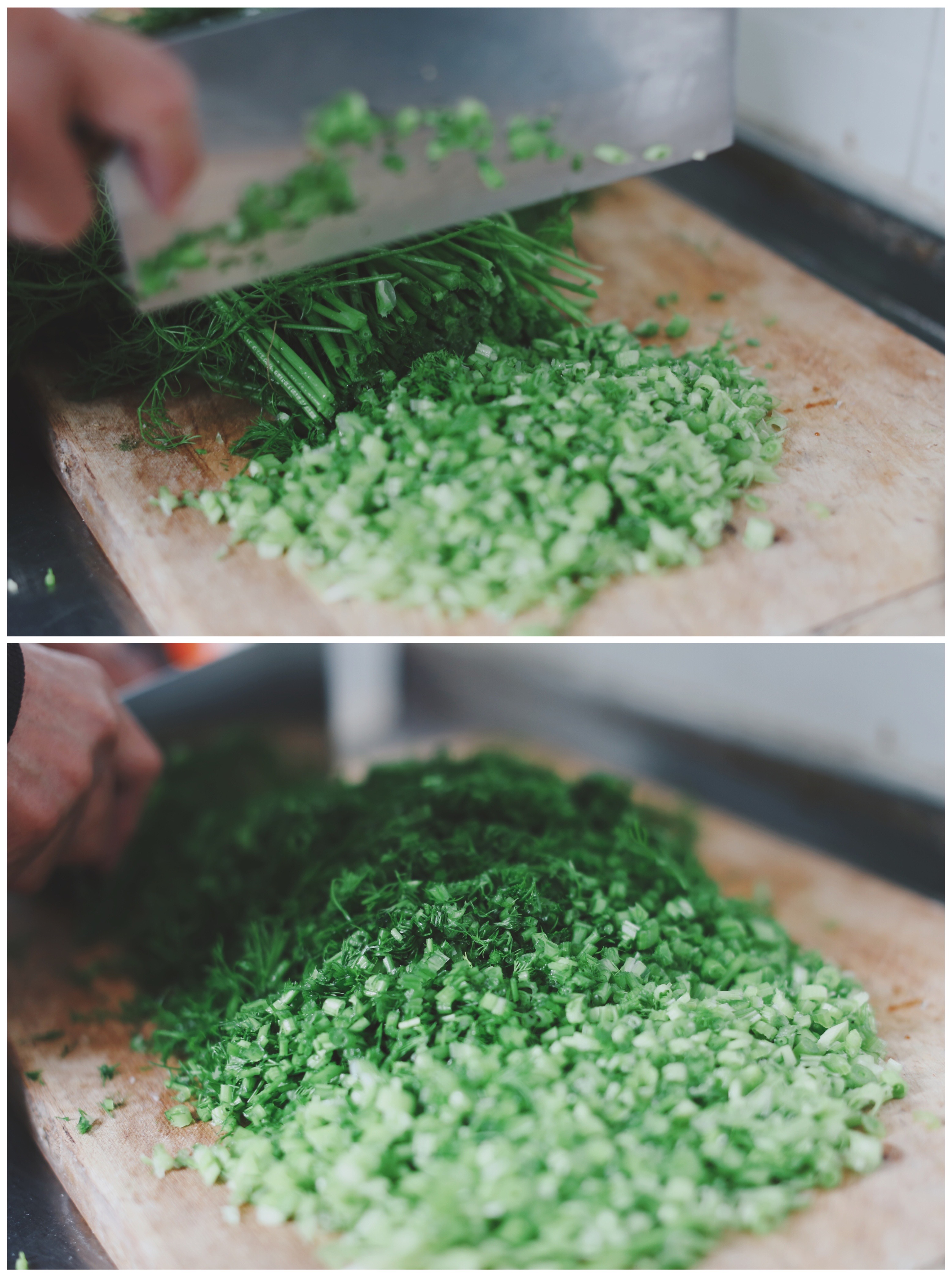 茴香馅水饺正宗做法,茴香猪肉生水饺