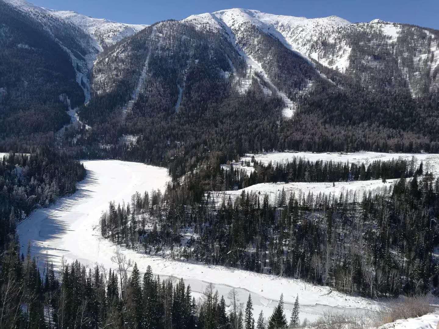 错嫁的女孩儿，如鲜花般，开到荼蘼花事了
