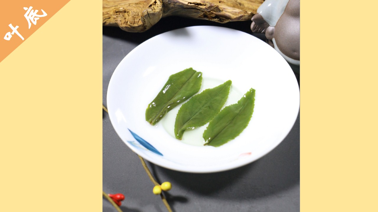 看图识茶考考你认识几种名茶,六大茶类及其代表名茶