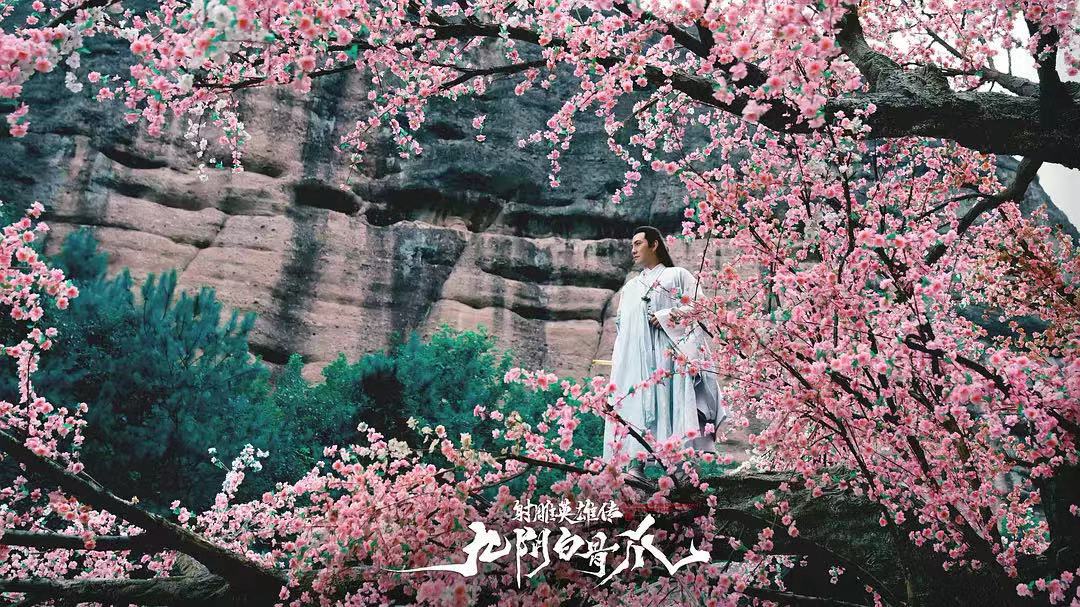 一箭双雕降龙十八掌先后顺序,一箭双雕在线观看