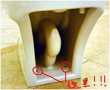 卫生间下水道小黑虫如何处理,洗手间里的小黑虫怎么消灭