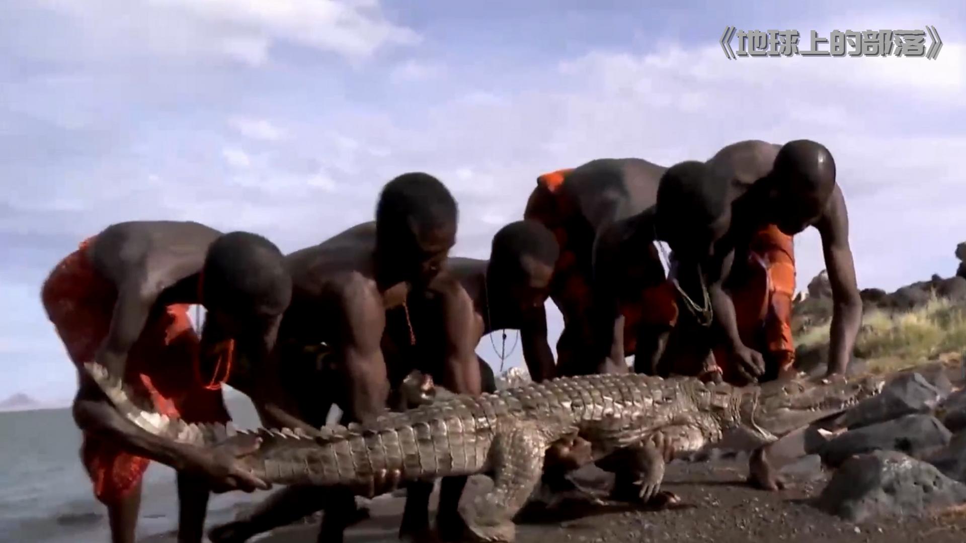 非洲埃尔莫洛部落：每天顿顿都吃鱼，没鱼时就捕杀鳄鱼充饥