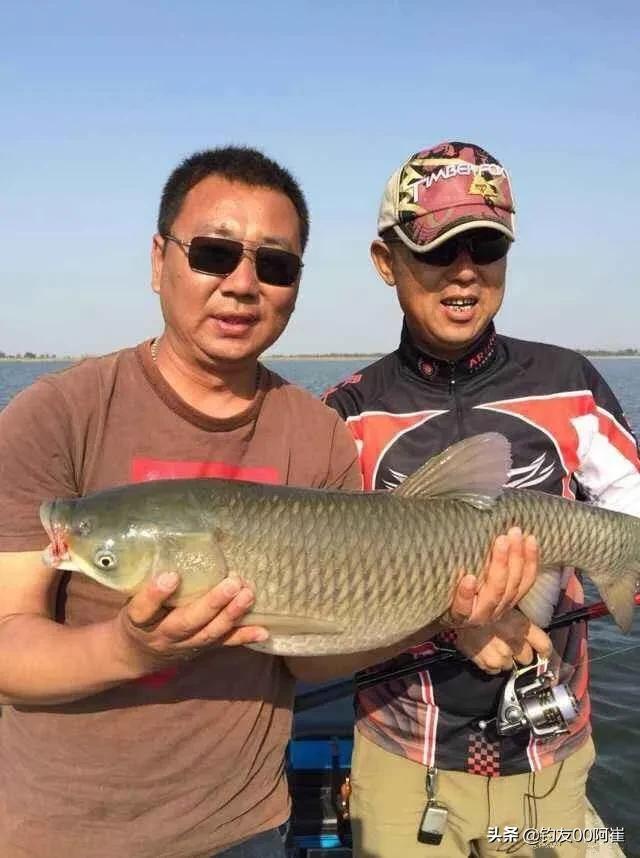 钓鱼界五大扛把子,钓鱼界的五大顶尖高手你更喜欢谁