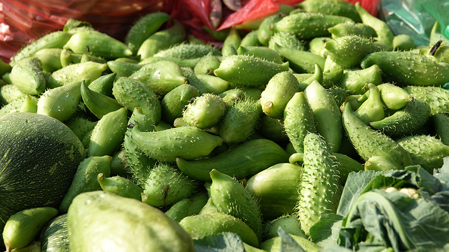 尼泊尔十堰,尼泊尔为什么这么穷