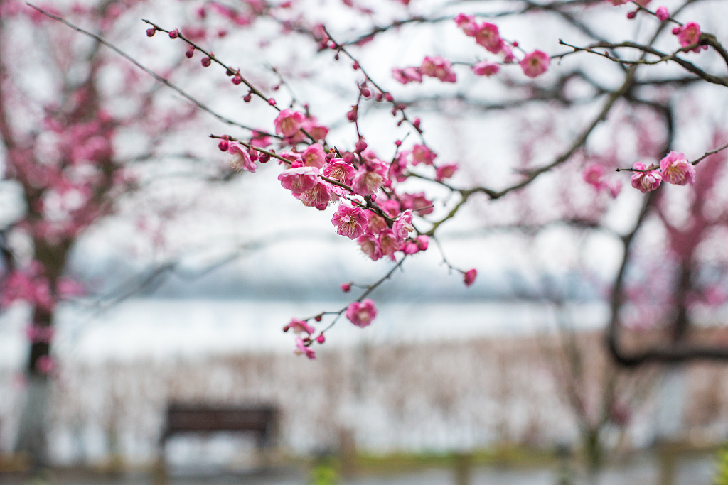 杭州游玩穷游必去景点攻略,杭州穷游攻略必去景点排名
