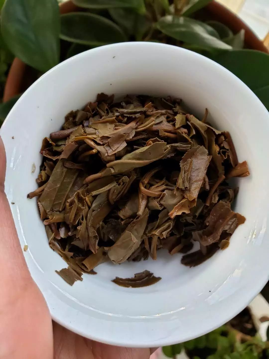 普洱沱茶勐海茶厂,下关沱茶甲字沱是普洱吗