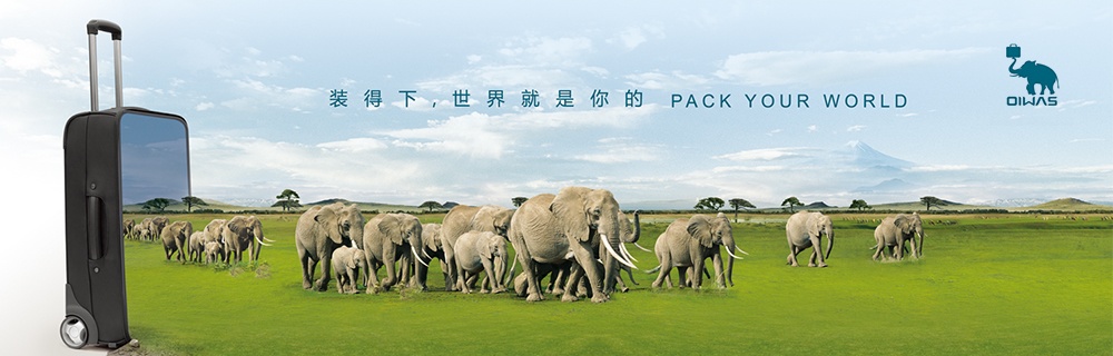 品牌营销策划案例分析,爱华仕箱包市场营销策划创意设计