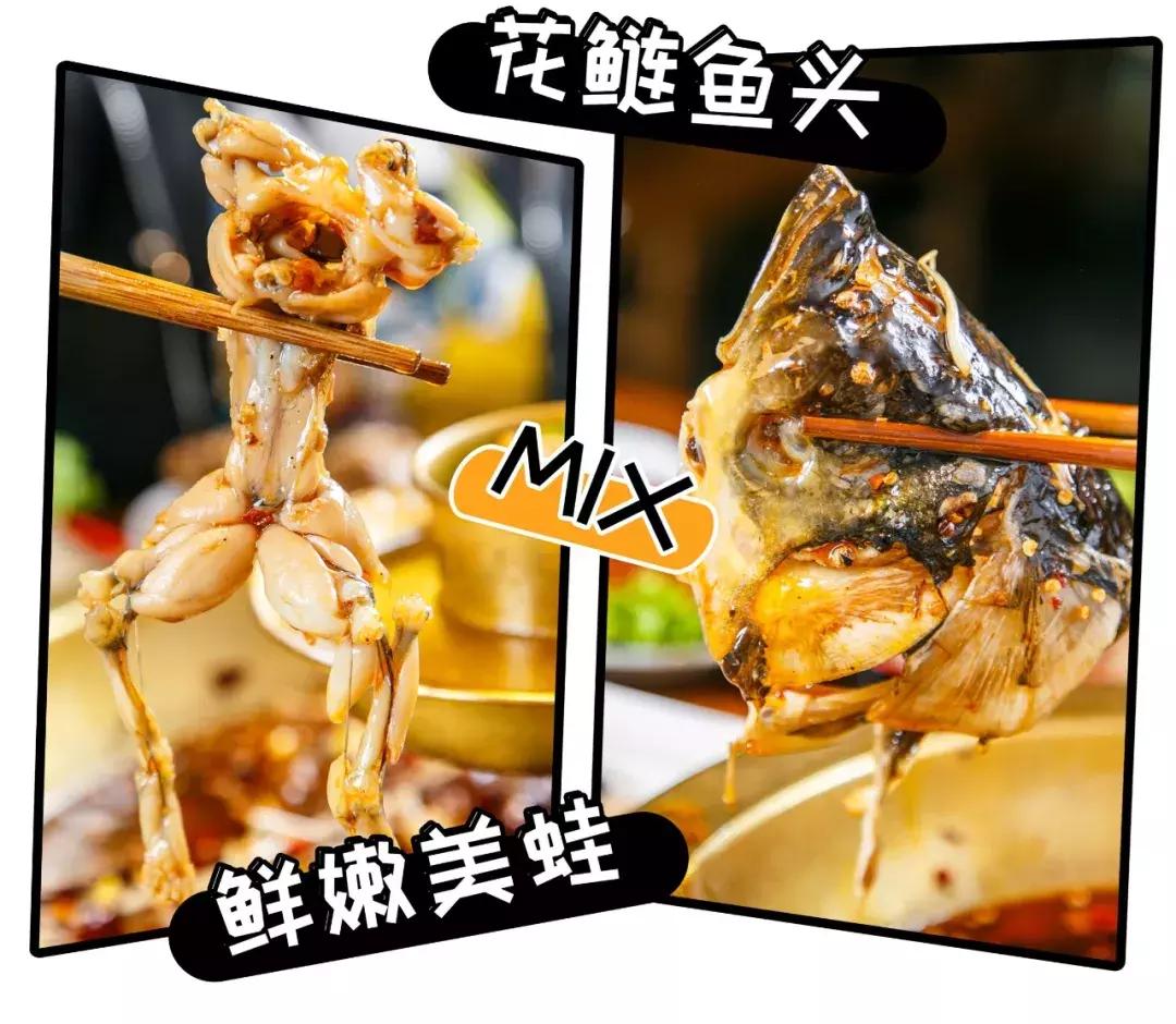 全国最火的美蛙鱼头,超火爆美蛙鱼头