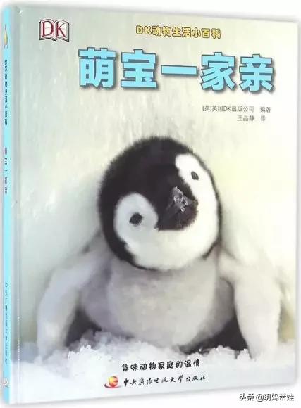 dk科普书怎么样,dk值得入手的书籍