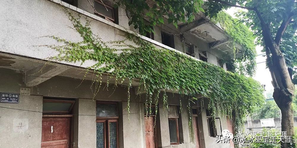 绿皮车成渝铁路上运行,川黔铁路最后的绿皮车