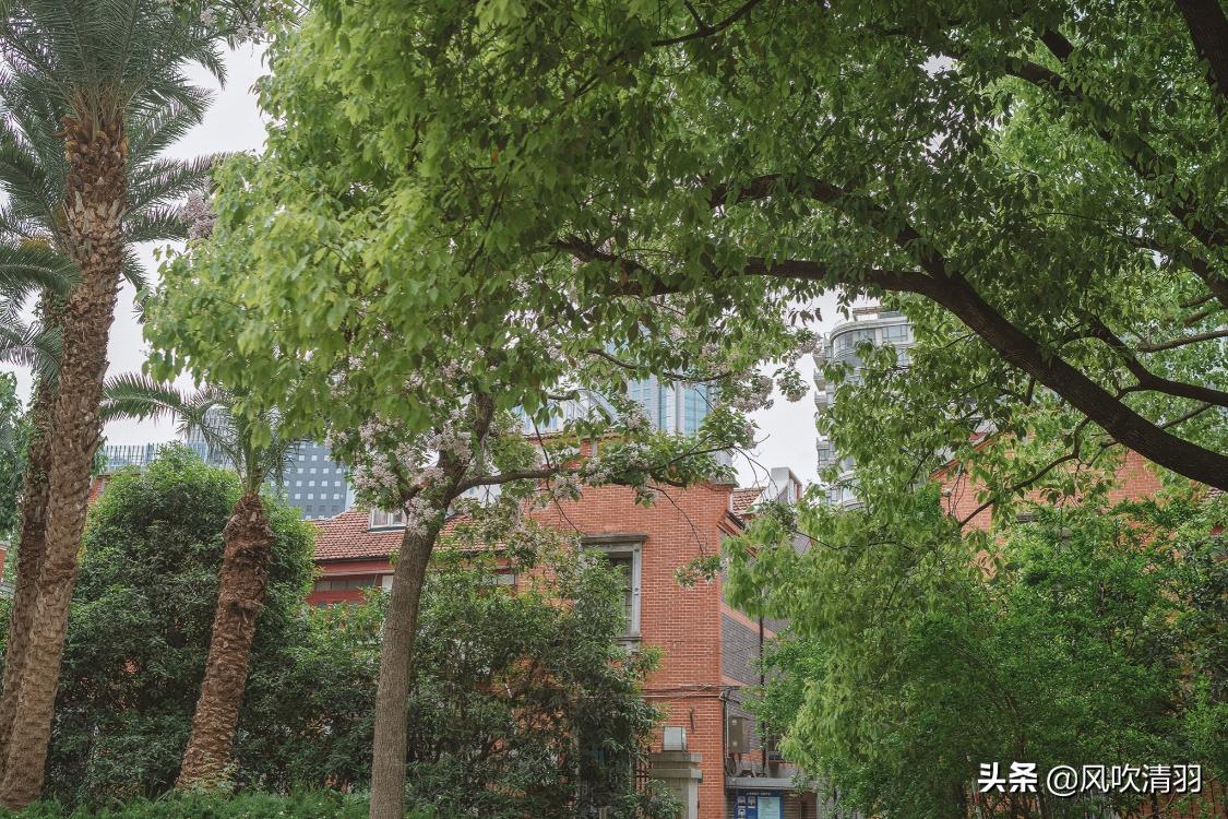 上海是中国房价最高城市吗,上海现在的物价怎么这么高啊